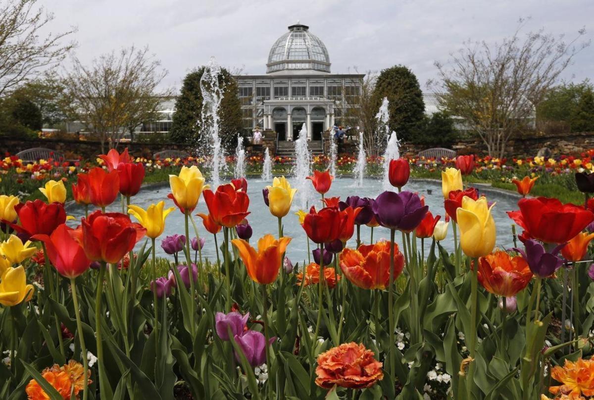 Private House Mins To Maymont Park, Trails & Vcu! Richmond Exteriör bild